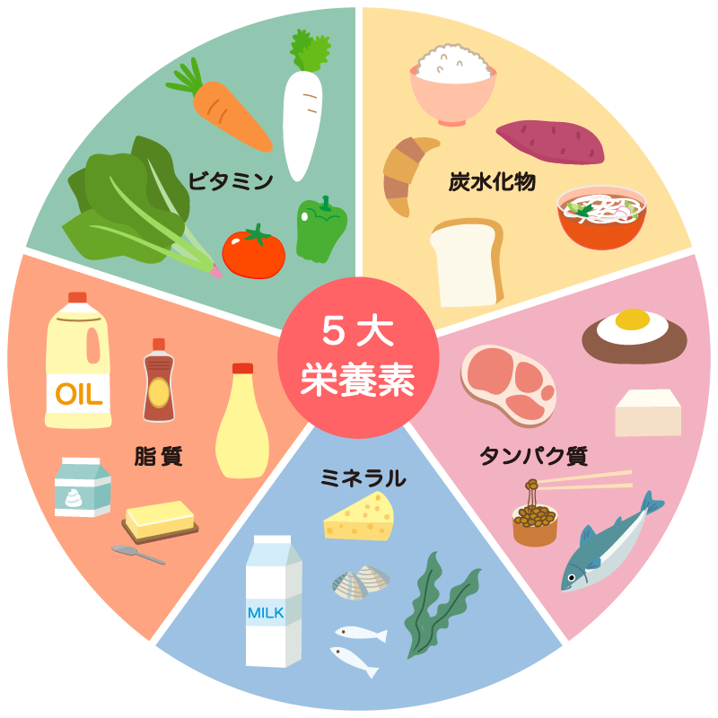 5大栄養素のイラスト（食育・保健・給食） | 園だより、おたよりで使えるかわいいイラストの無料素材集【イラストだより】