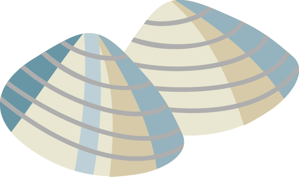 貝のイラスト