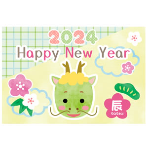 ✨早い者勝ち✨年賀状 未使用 2024 20枚入り 辰 龍 ハガキ